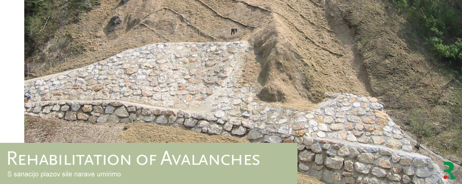 rehabilitation-of-avalancehes.jpg